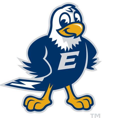 Exploring the Cultural Significance of Emory University's Colors and Mascot